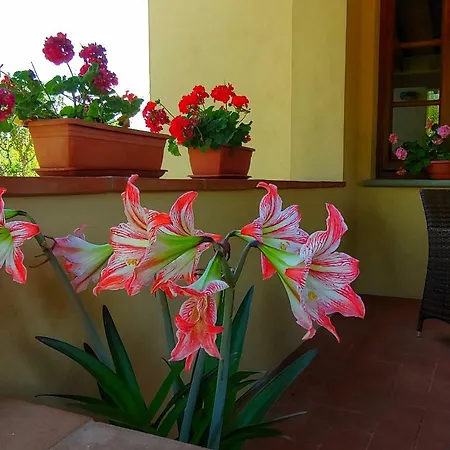 Torrebianca Tuscany 4* Риньяно-суль-Арно